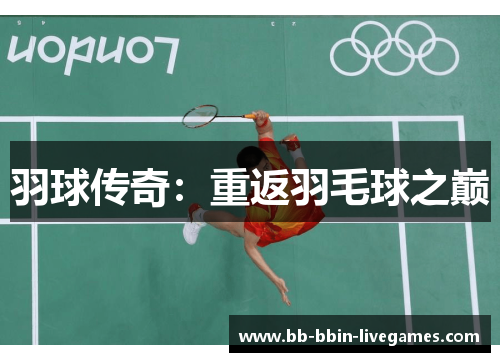 羽球传奇：重返羽毛球之巅